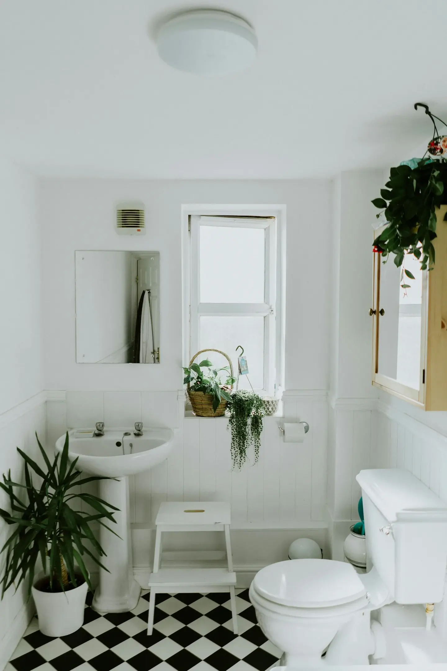 Bath vignette